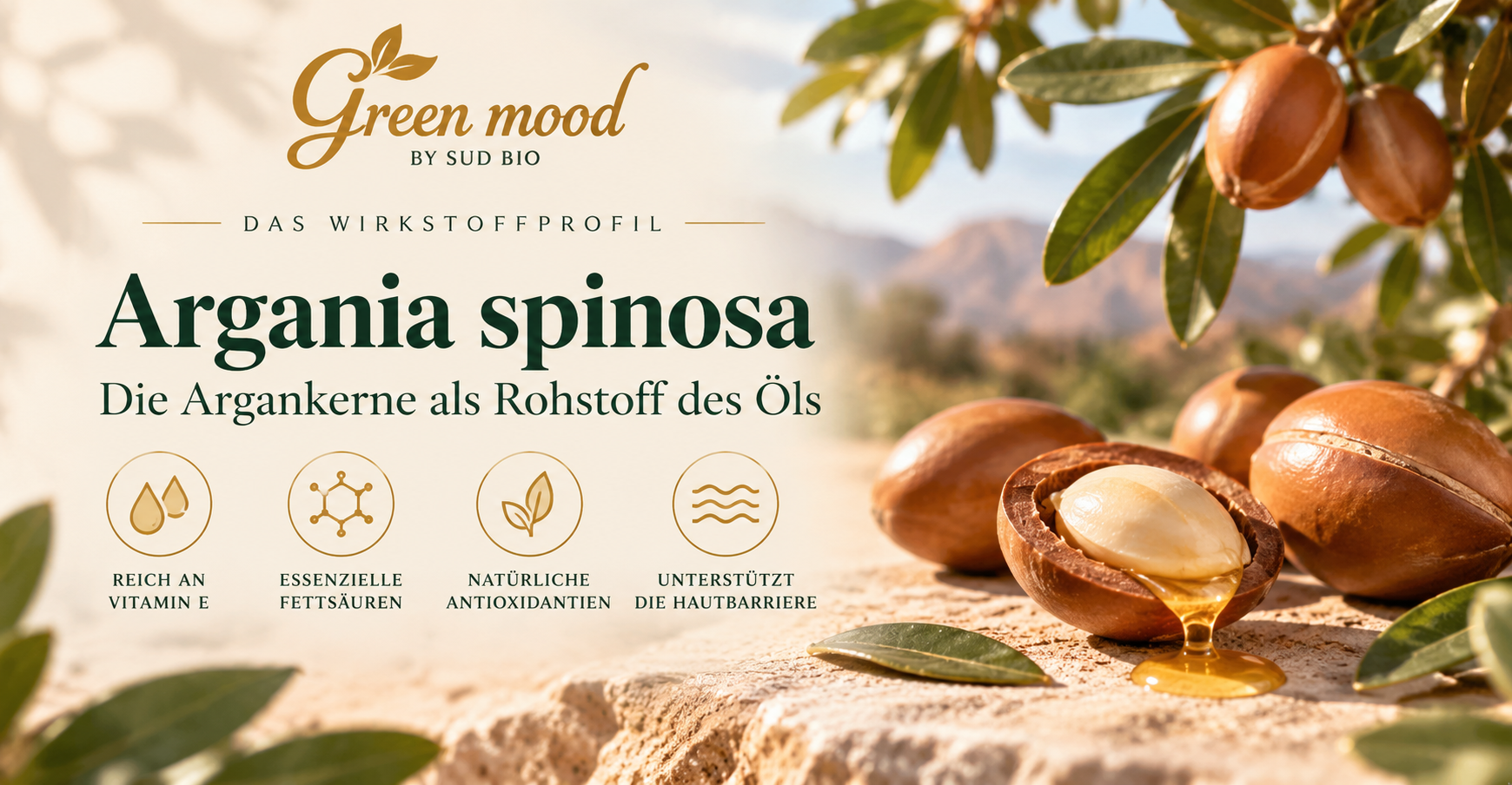 Argania spinosa — die Argankerne als Rohstoff des Öls